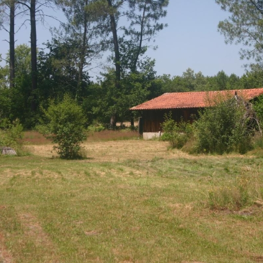  BASTIDE IMMO : Maison / Villa | CALLEN (40430) | 170 m2 | 336 000 € 
