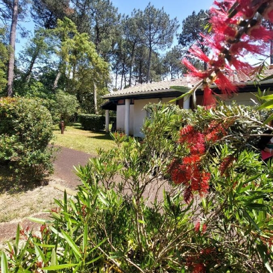  BASTIDE IMMO : Appartement | SOUSTONS (40140) | 35 m2 | 199 000 € 