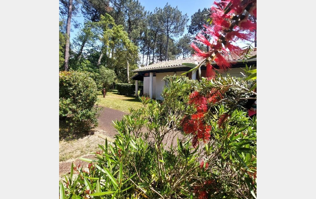 BASTIDE IMMO : Appartement | SOUSTONS (40140) | 35 m2 | 199 000 € 